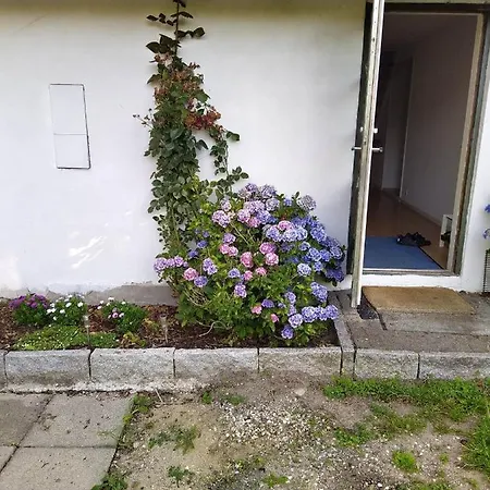 住宿加早餐酒店 Skovhusets I Gislev